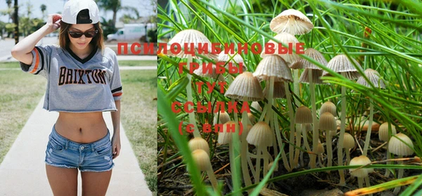МДПВ Верея