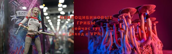 spice Бородино
