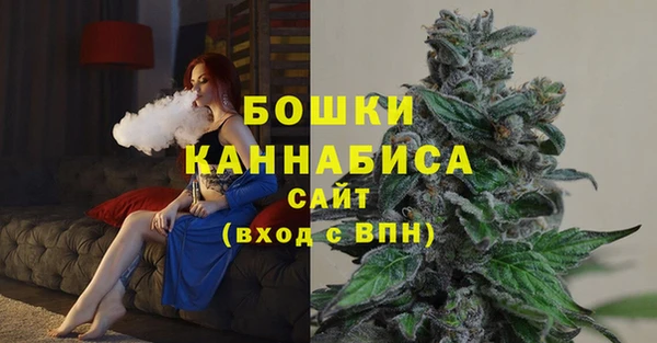 spice Бородино