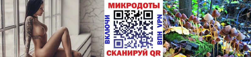 hydra ТОР  цена   мориарти какой сайт  Псилоцибиновые грибы мицелий  Верхний Тагил 